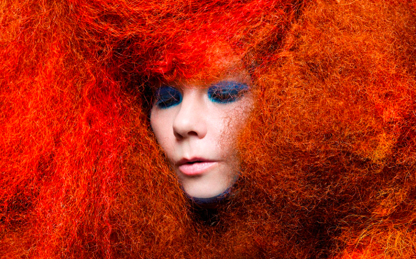 Bjork