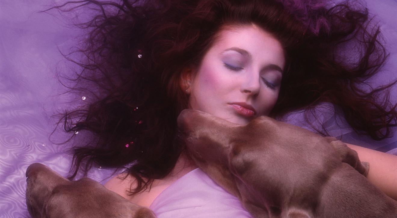 kate bush